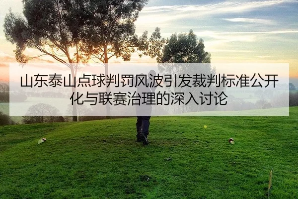 shan-dong-tai-shan-dian-qiu-pan-fa-feng-bo-yin-fa-cai-pan-biao-zhun-gong-kai-hua-yu-lian-sai-zhi-li-de-shen-ru-tao-lun-2-647.jpg