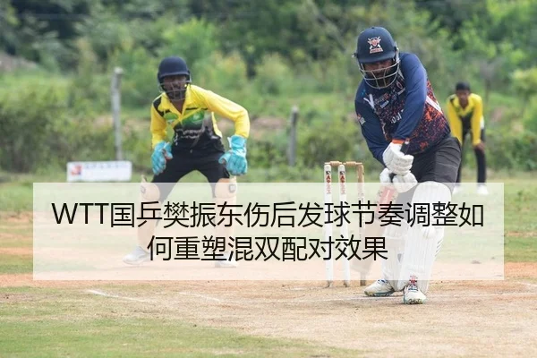 WTT国乒樊振东伤后发球节奏调整如何重塑混双配对效果